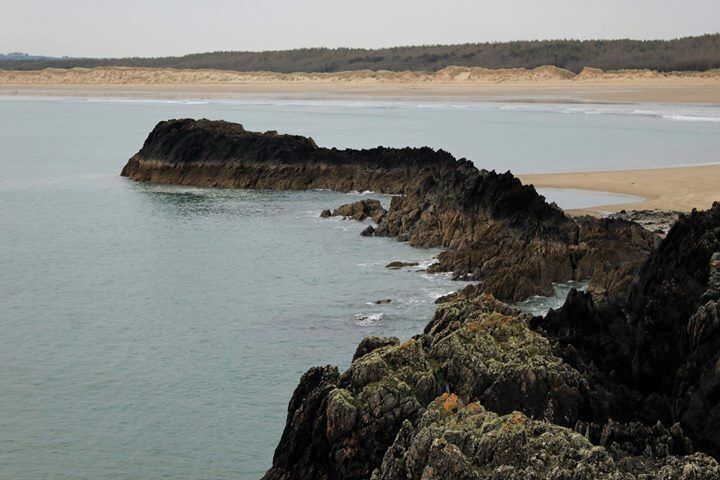 Una costa rocosa con una playa arenosa y un área boscosa al fondo.