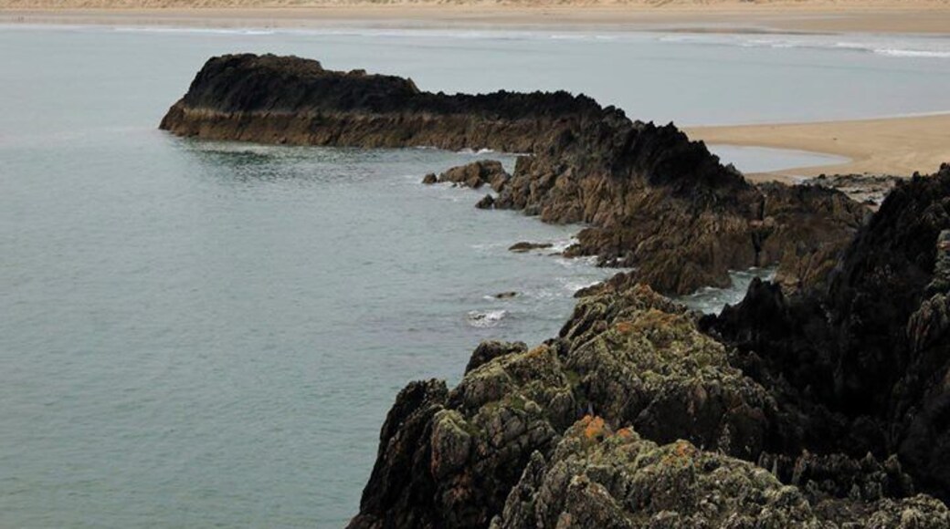 Una costa rocosa con una playa arenosa y un área boscosa al fondo.