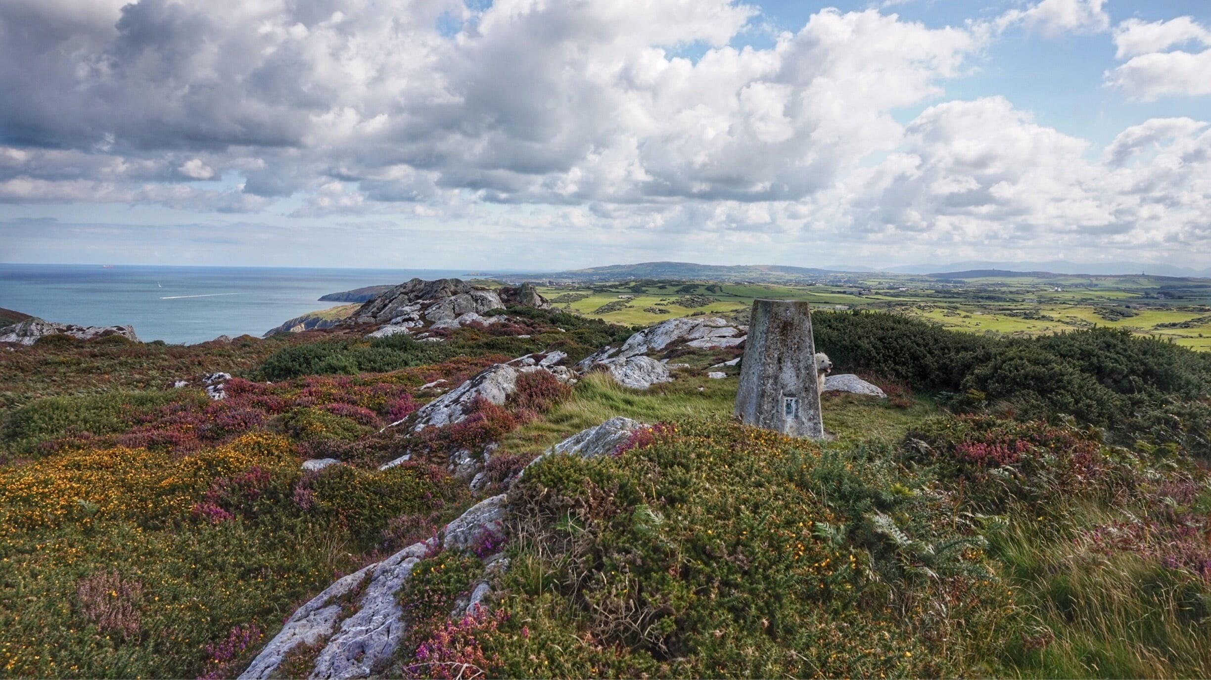 Trig Point at Graig Wen