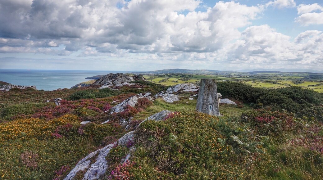 Trig Point at Graig Wen