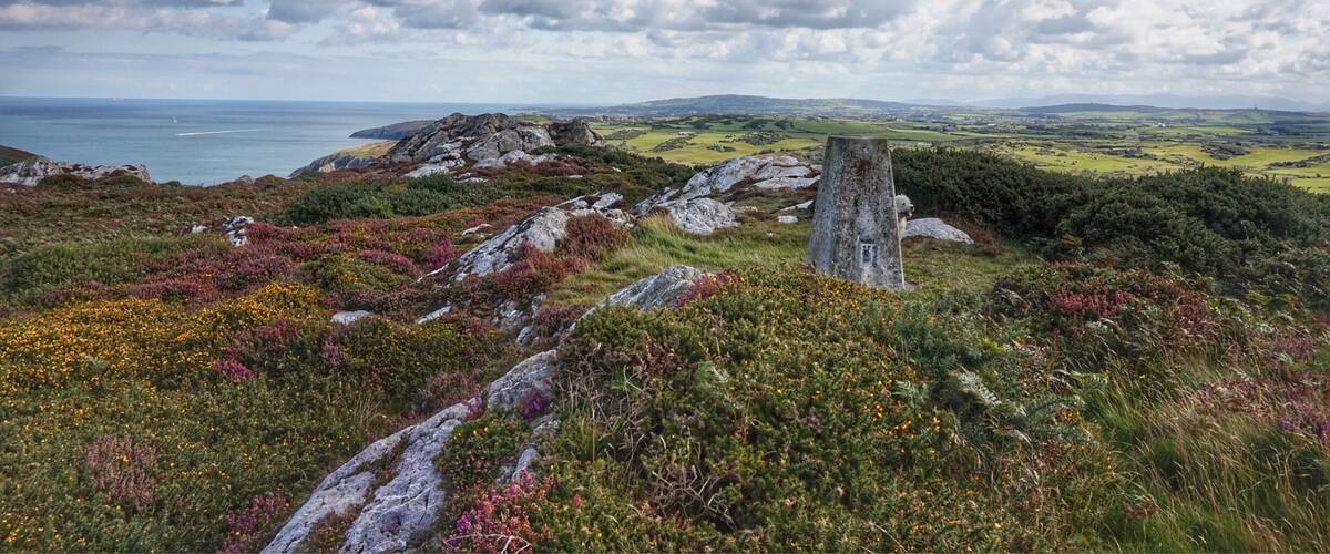 A coastal landscape with rocky terrain, heather, and wildflowers.