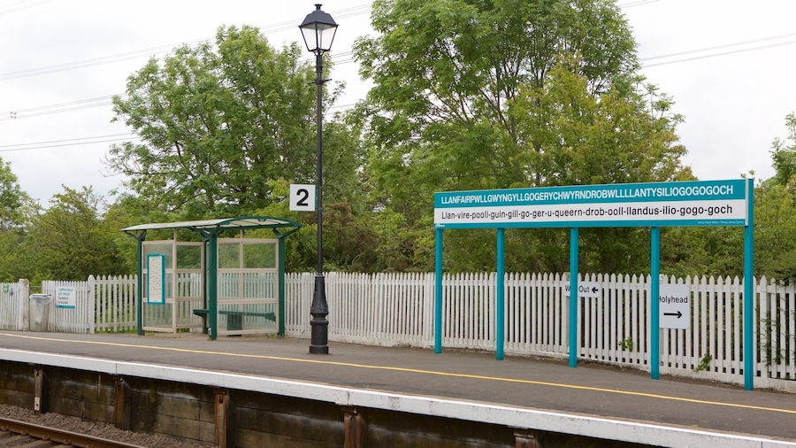 A train station platform with a shelter, a sign with Welsh text, and a white picket fence.