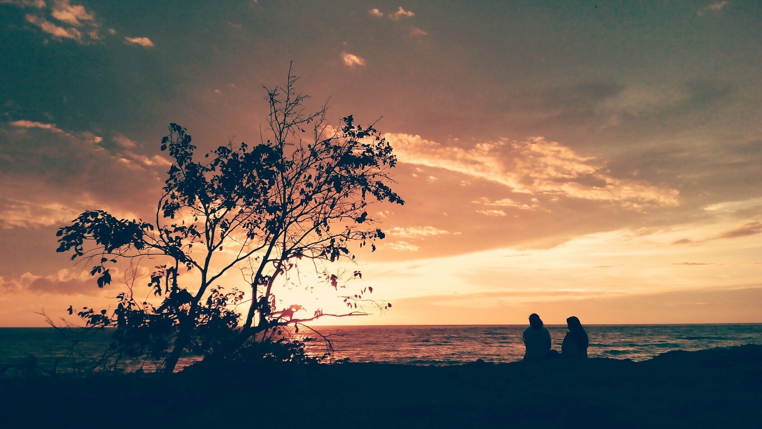 A sunset over the ocean with silhouettes of people and a tree in the foreground.