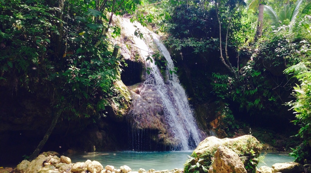 Apart from the beaches that I have recently charted, I am also interested in waterfall trekking. My city celebrates for the 24 grand waterfalls it has, excluding those that are impossibly accessible by any means or those that are quite smaller. Let me first take you to Pampam Falls. It is located about 15 kilometers from the city. Getting deep into the woods eventually makes you feel like you are in another world. Isn't that what good places bring us? Pampam Falls sits just around Kalubihon Falls and Kalubihon Caves. As a first-timer in this place, I got lost and confused between the two. And luckily, I and my trek buddies came across some local kids who gladly led the way. Pampam Falls is composed of multiple other mini falls (such as the one shown in the picture). You'll see them as you move along. I think, in total, there are 7 or 8 of these. That's pretty much how amazing it is. Allow me to show you more later.
Happy travels,
Star, Iligan City, PH
