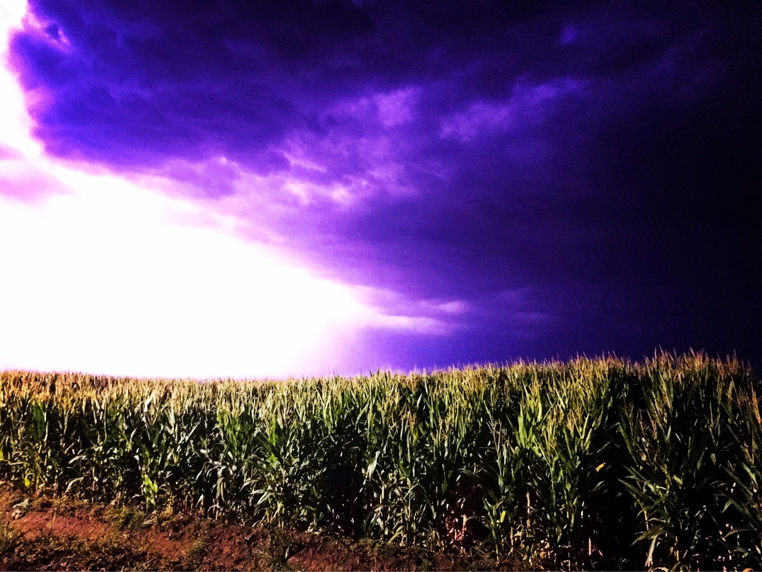 Went to a corn maze last year and was treated to a huge lightening show. 