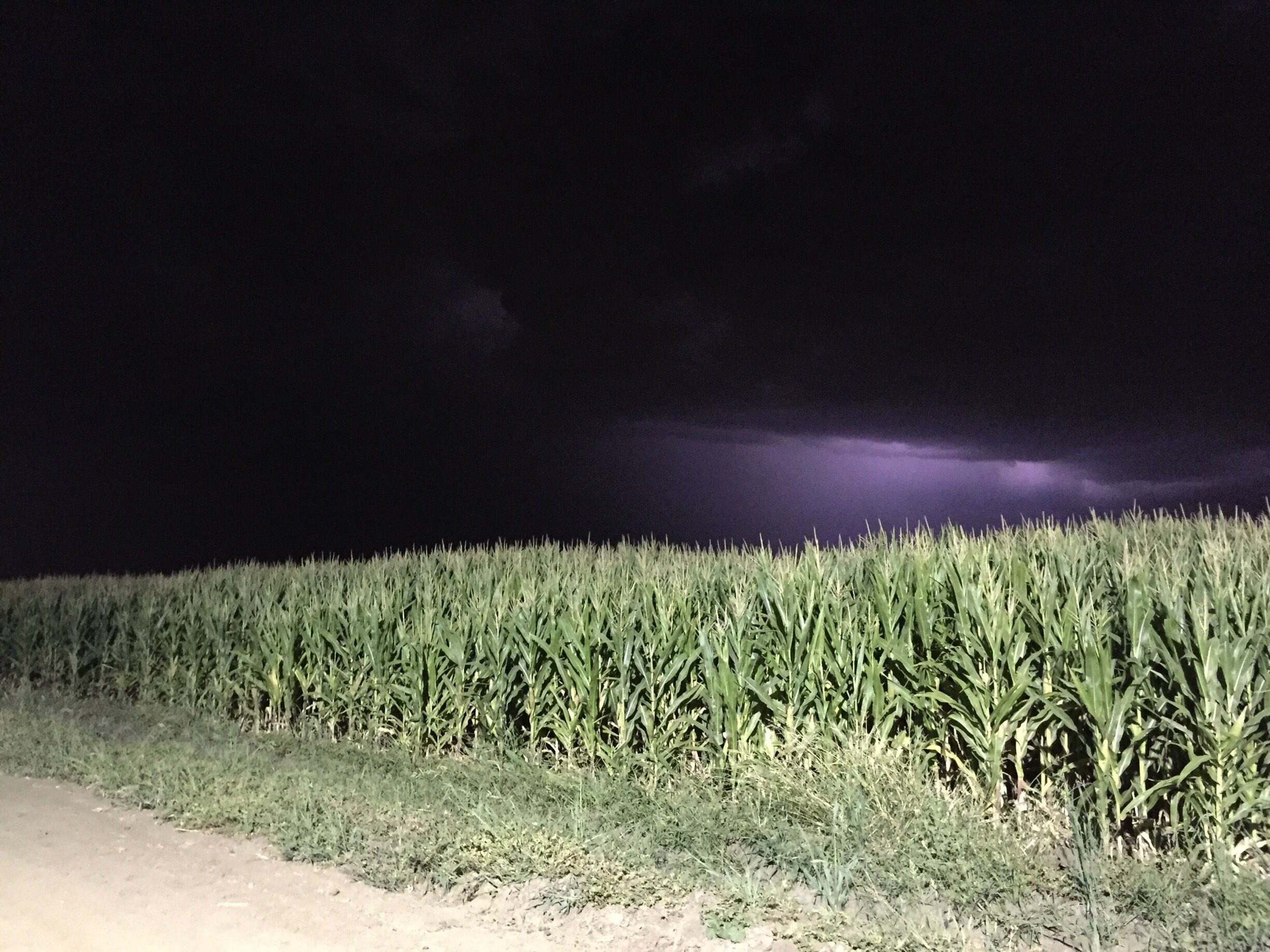 That lighting though... #Patterns