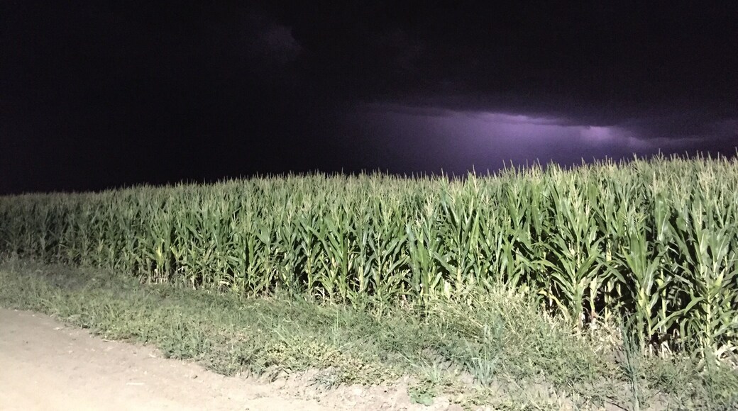 That lighting though... #Patterns