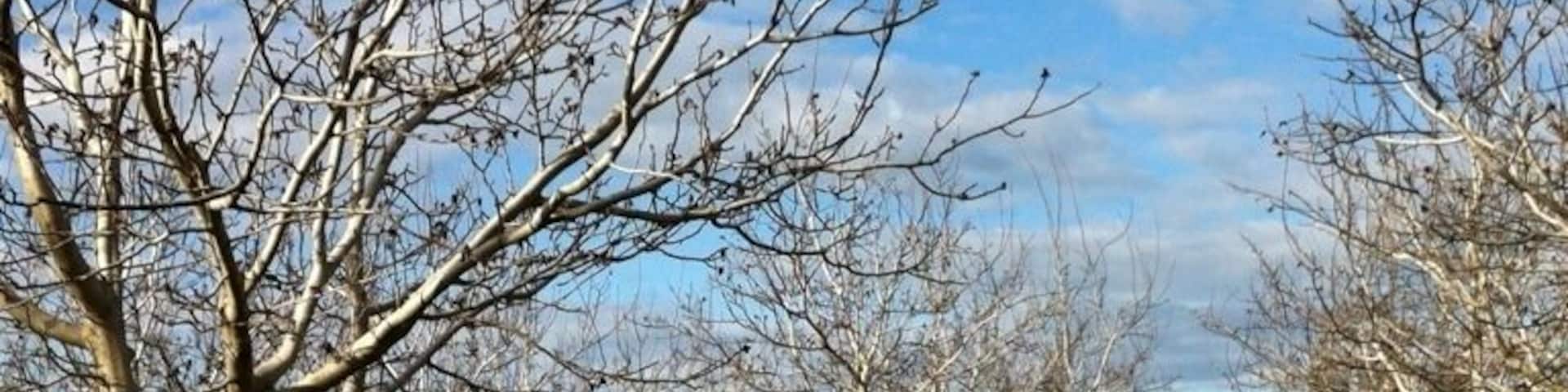 Lots of orchards hereabout.