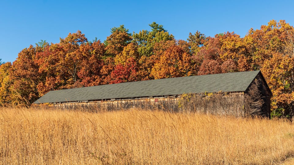 A rustic barn surrounded by autumn foliage and a field.