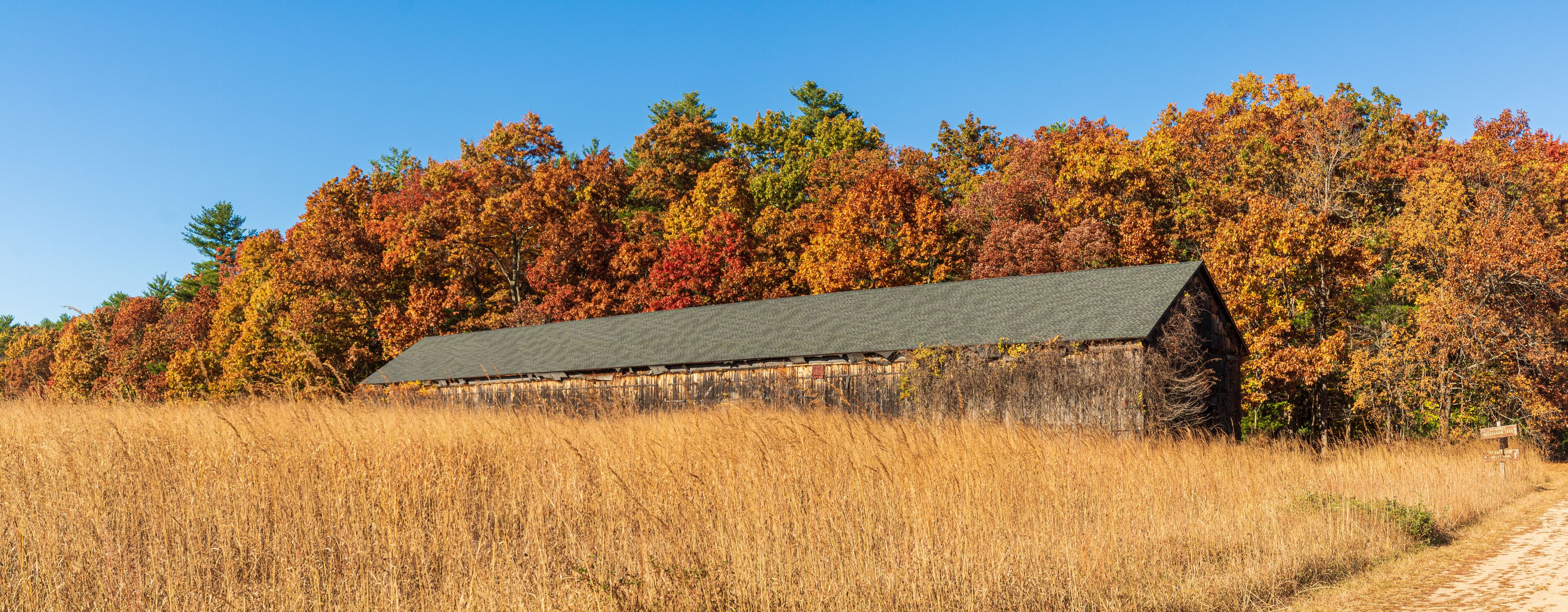 A rustic barn surrounded by autumn foliage and a field.