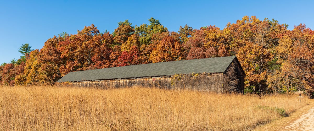 A rustic barn surrounded by autumn foliage and a field.