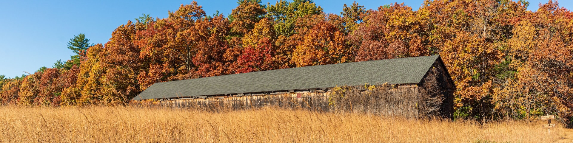 A rustic barn surrounded by autumn foliage and a field.