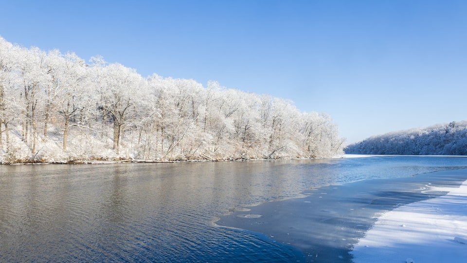 Snow-covered forest alongside a river