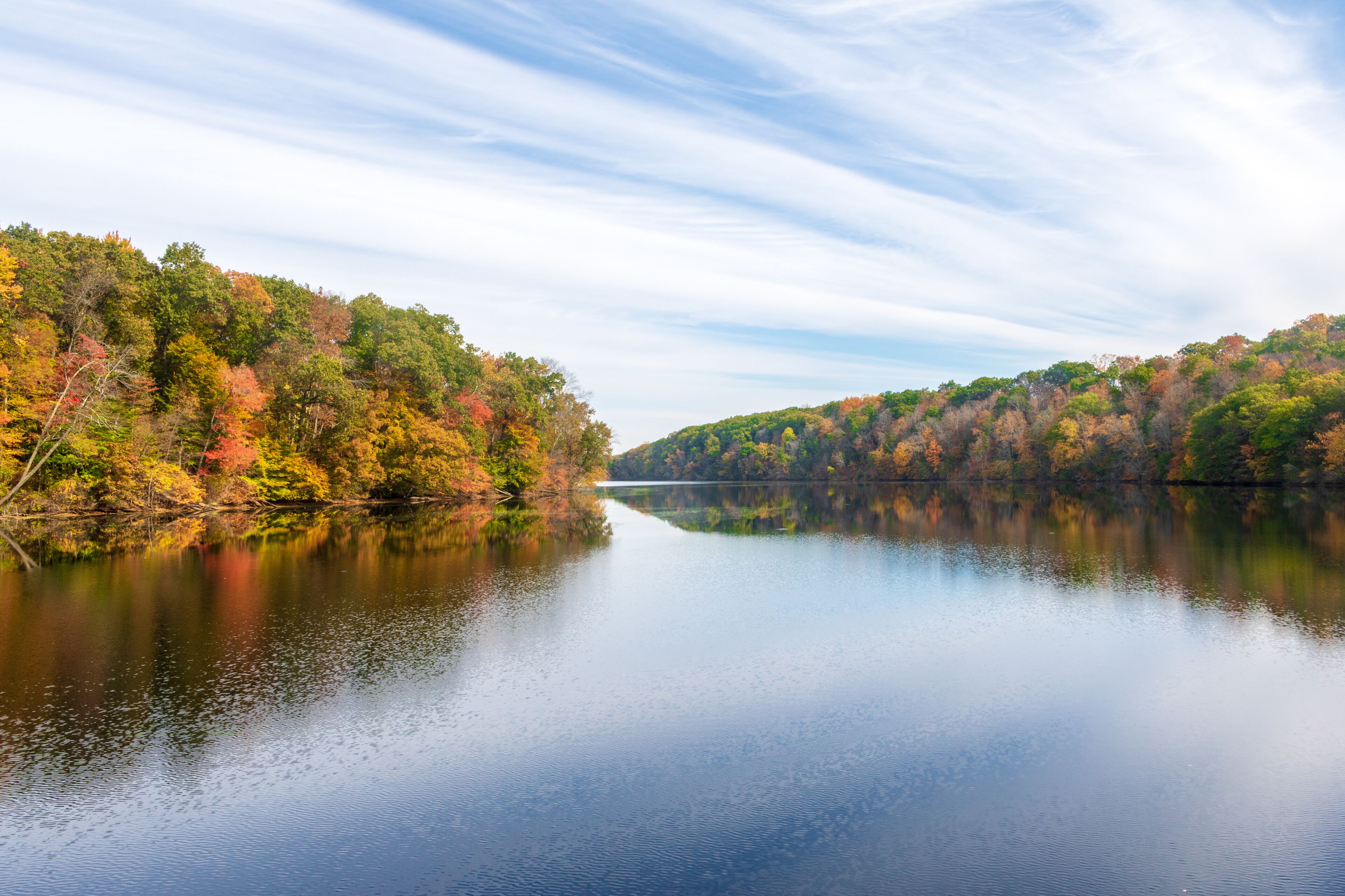 Fall foliage by the lake