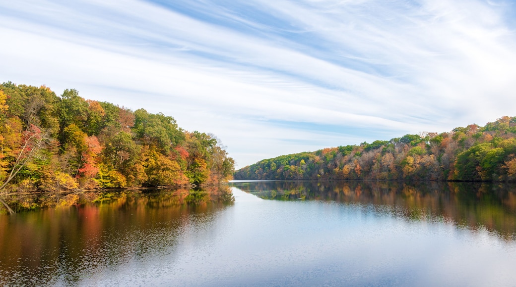 Fall foliage by the lake
