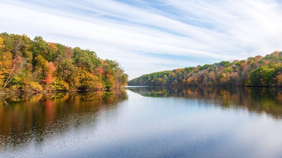 A calm river with autumn foliage reflecting on the water, surrounded by dense forest.