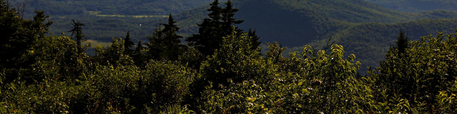 Great views of Vermont and New Hampshire.