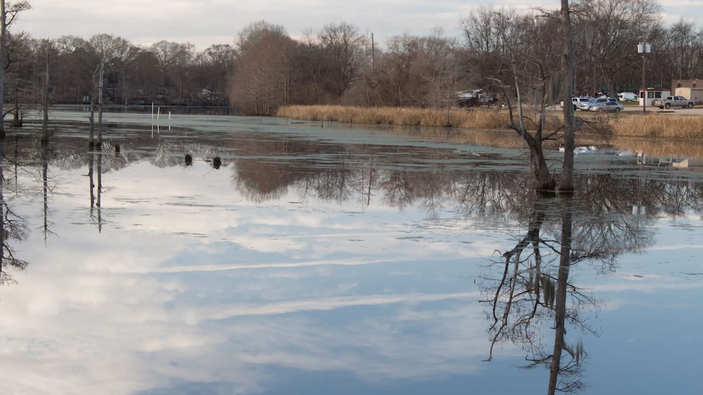 A flooded field with bare trees and a distant building.