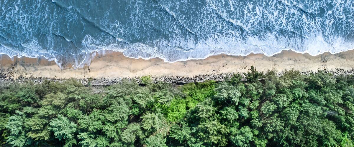 A beach with waves crashing onto the shore, a sandy beach, and dense green foliage in the foreground.