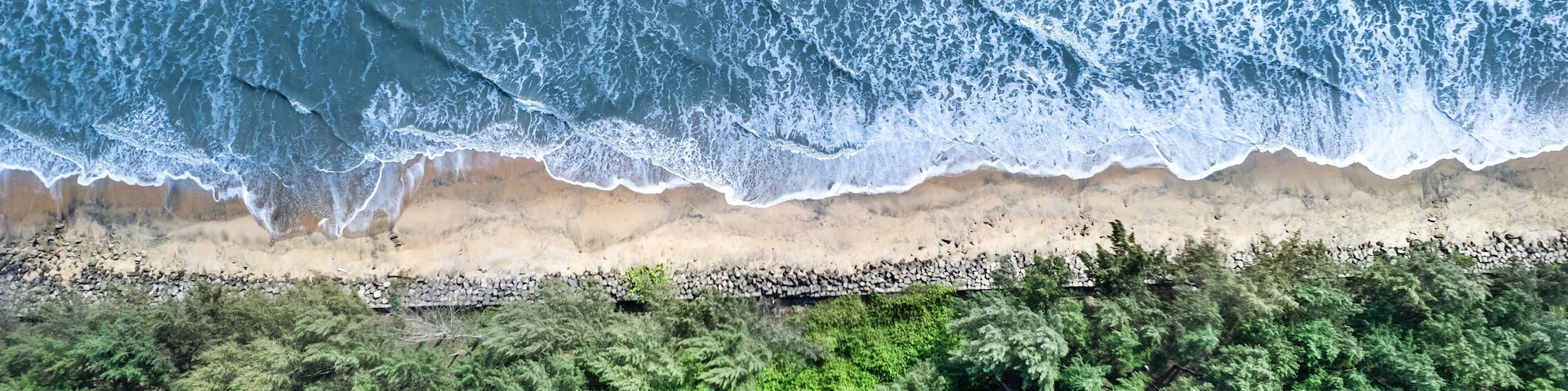 A beach with waves crashing onto the shore, a sandy beach, and dense green foliage in the foreground.