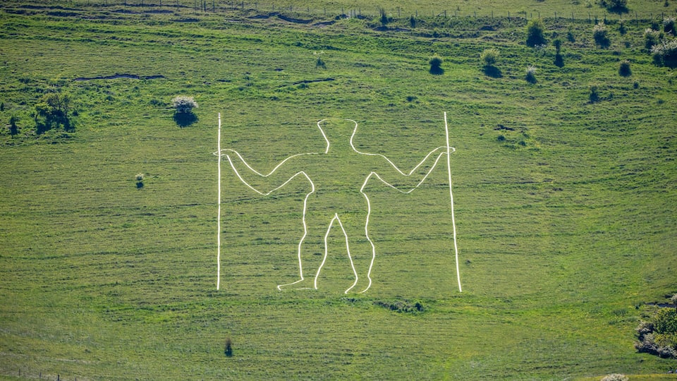 A grassy field with a human-like figure outlined in white.