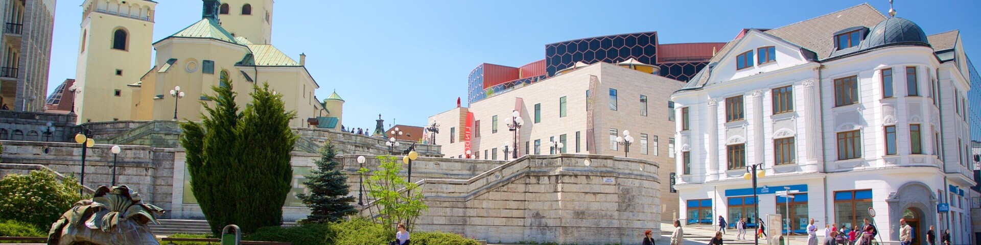 Zilina showing a fountain, a city and a square or plaza