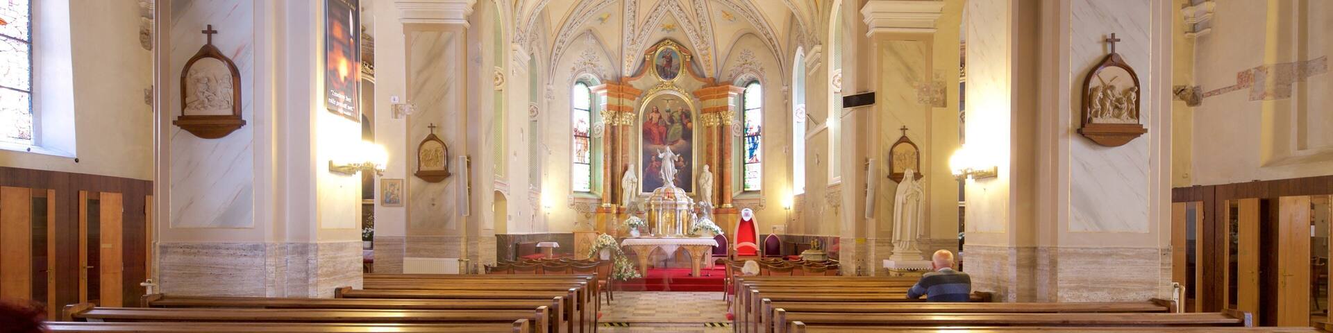 Zilina which includes interior views, religious aspects and a church or cathedral