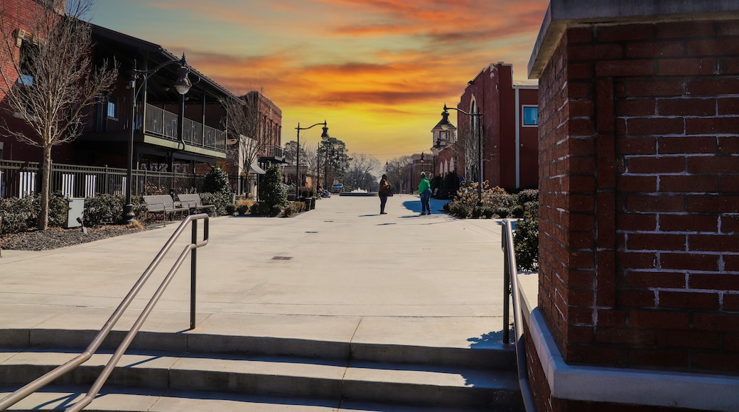 a shopping center with red brick buildings, tall curved black light posts, metal benches, bare winter trees and lush green plants with red sky and powerful clouds at sunset in Douglasville Georgia USA