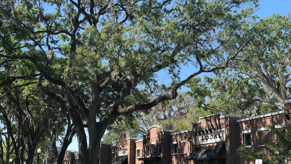 Love this tiny town, just 20 minutes from Walt Disney World. Inside #PlantStreetMarket you’ll find multiple vendors including local food, honey, coffee and desserts, and #crookedcanbrewing #wintergarden #lifeatexpedia