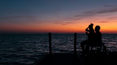Silhouette of a disabled young man and his girlfriend in a wheelchair enjoying the sunset over Lake Apopka near Orlando, Florida.