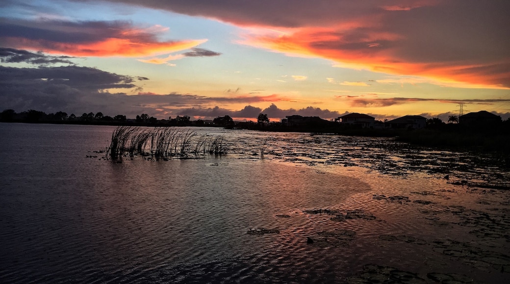 Even a stormy day in Florida can lead to beautiful sunsets.