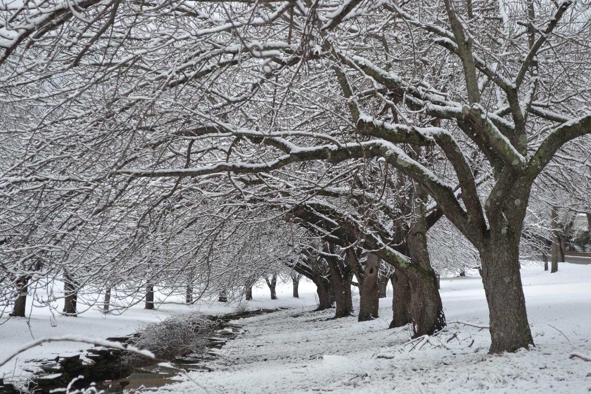 We call parque de los novios nice place in Morris county 