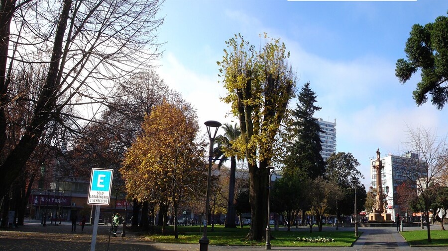 urban street , armas square Concepcion Chile