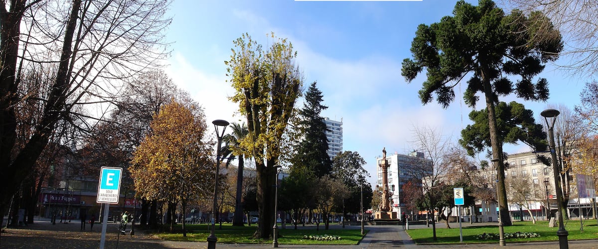 A park with trees, a statue, and a building in the background.