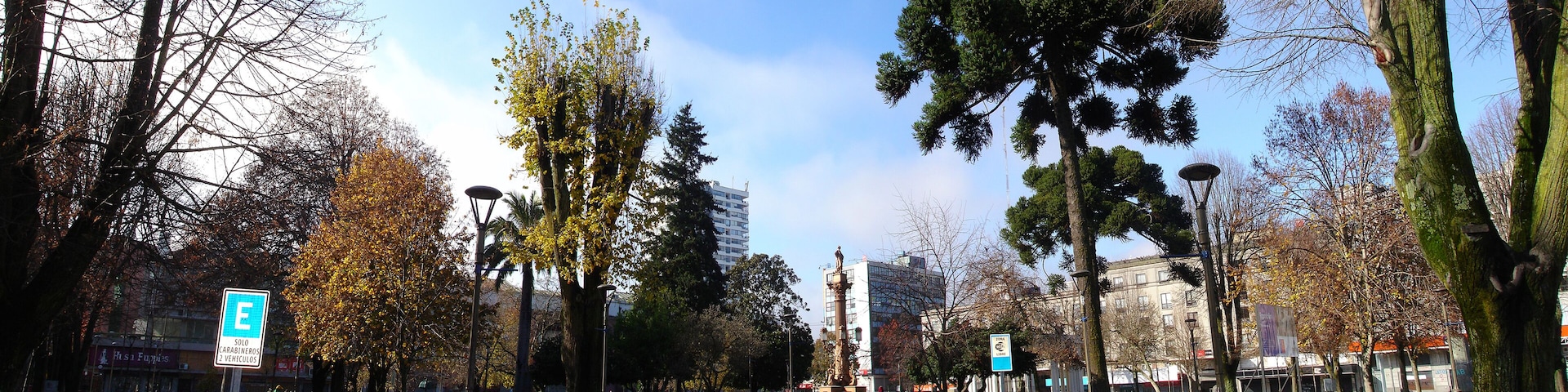 A park with trees, a statue, and a building in the background.