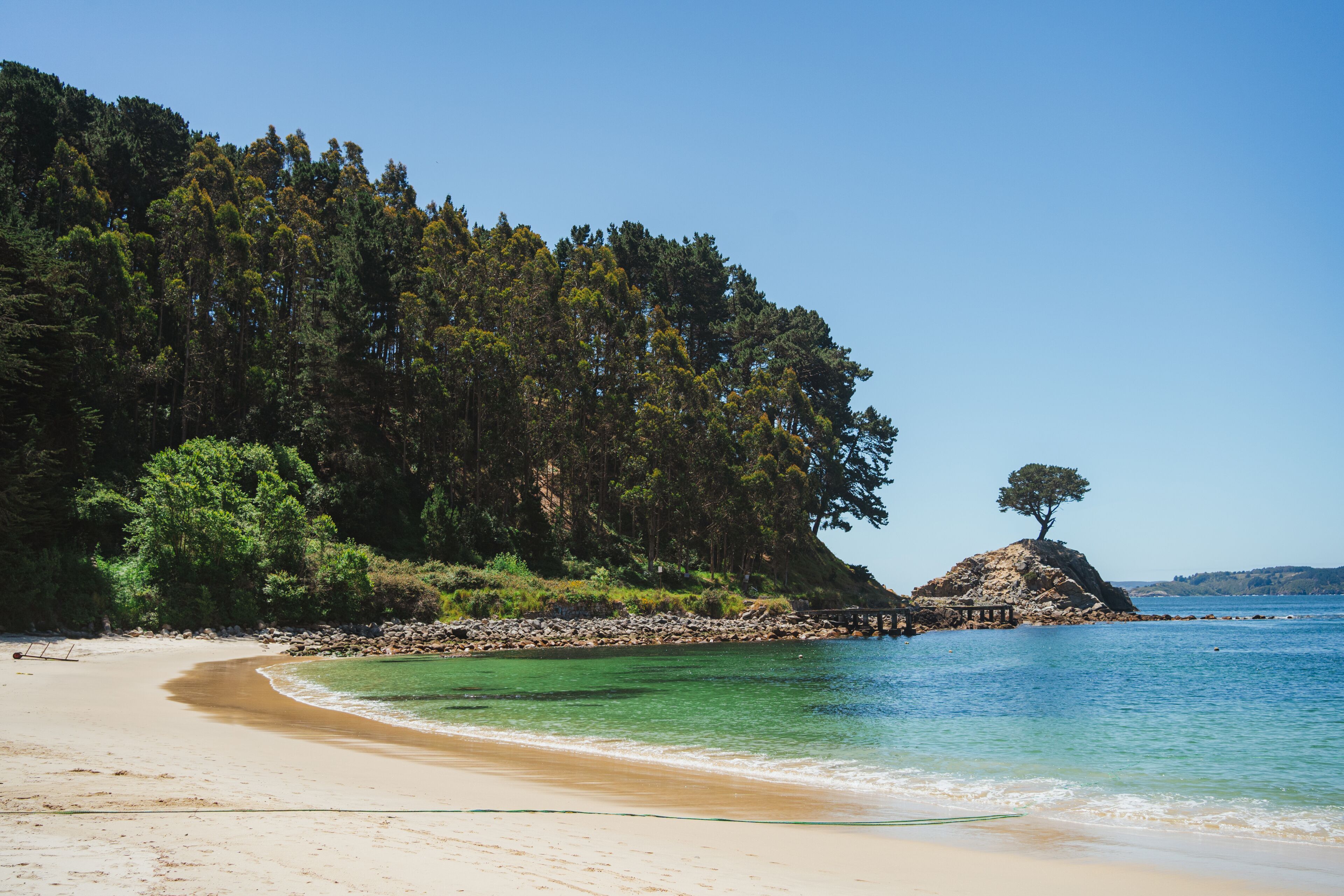 A sandy beach with clear turquoise water, a rocky outcrop, and a solitary tree on a hill.