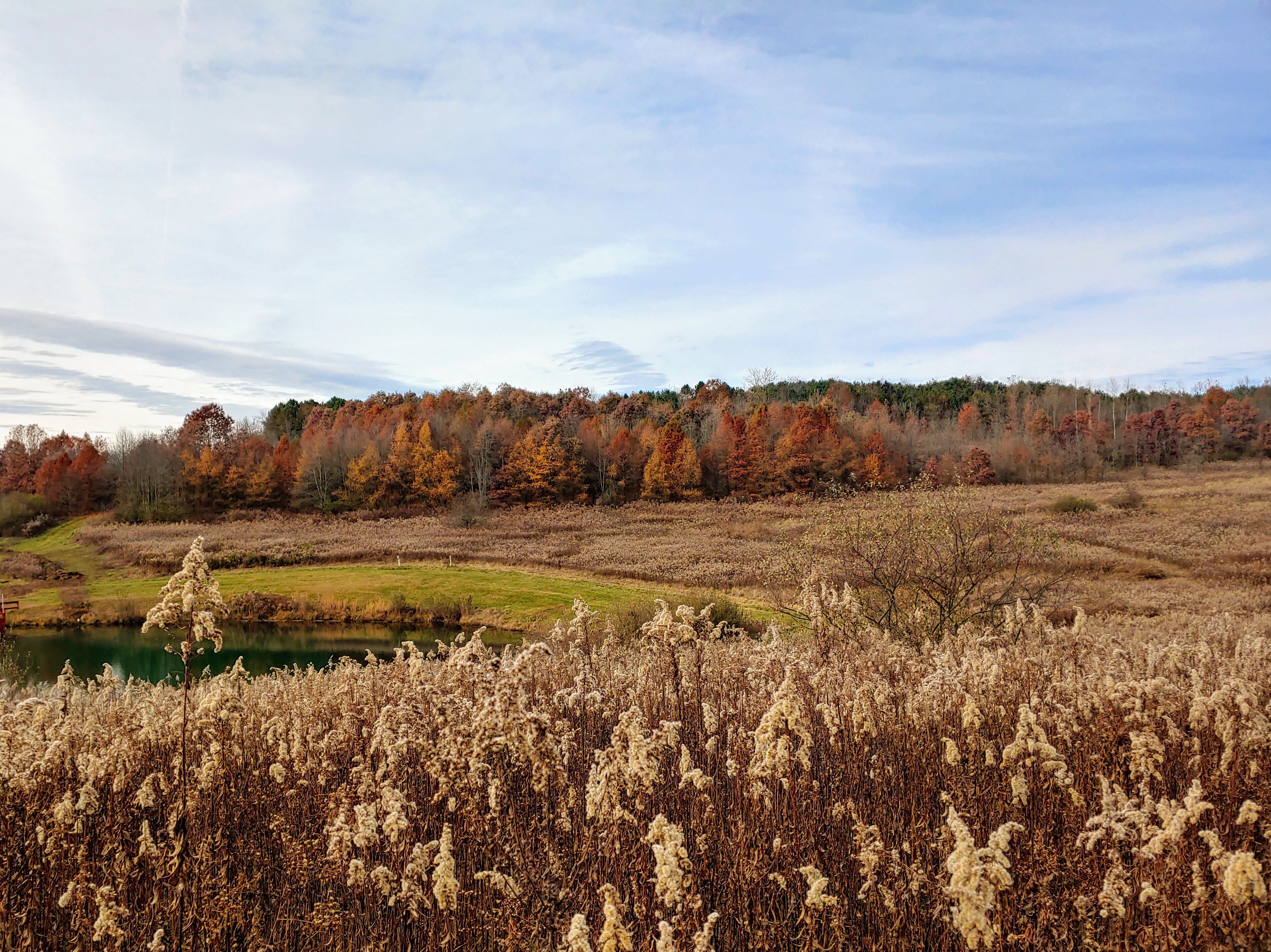 Up around Ohio's Amish country exists The Norma Johnson Center. Over 300 acres of preserved land with over 6 miles of trails through open meadows, ridges, hills or flat land, woodland trails, boardwalks, bouncy foot bridges, floating docks, wetlands, and overlooks of the Brandywine Valley.

#Trovember