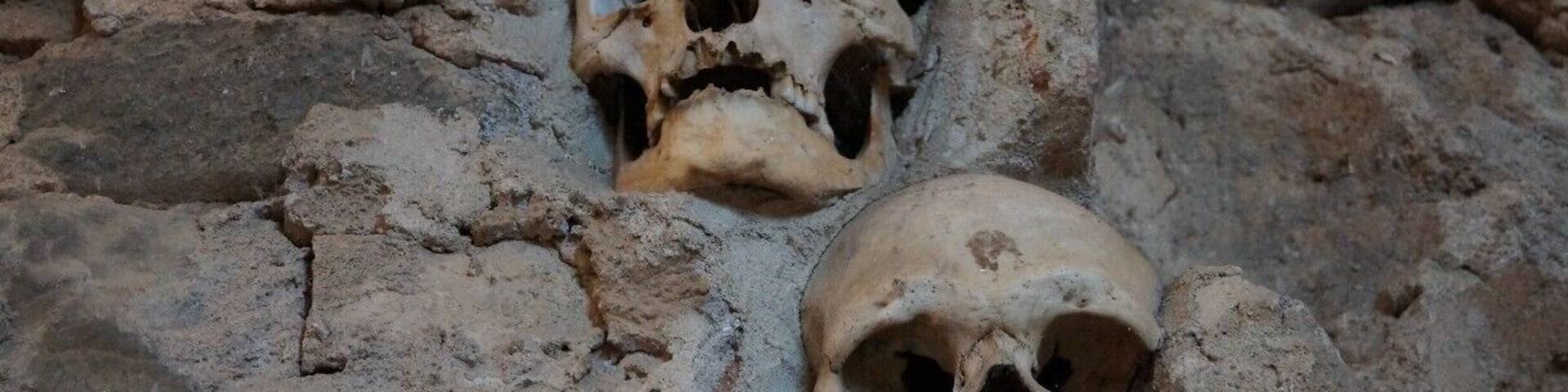 Two human skulls embedded in a rocky wall.
