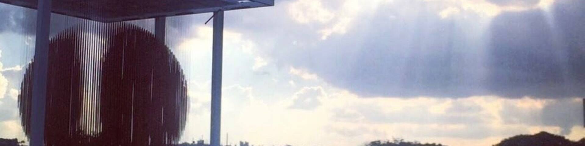 El arte en medio del caos