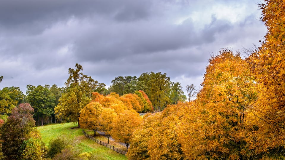 A park with autumn trees, a grassy field, and a wooden fence.