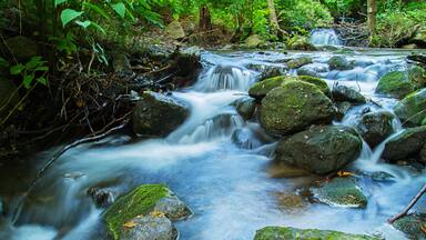 Lost Waterfalls Of Historic Mountain Park, Circa 1883 Abandon Amusement Park Completely Reclaimed By The Forest