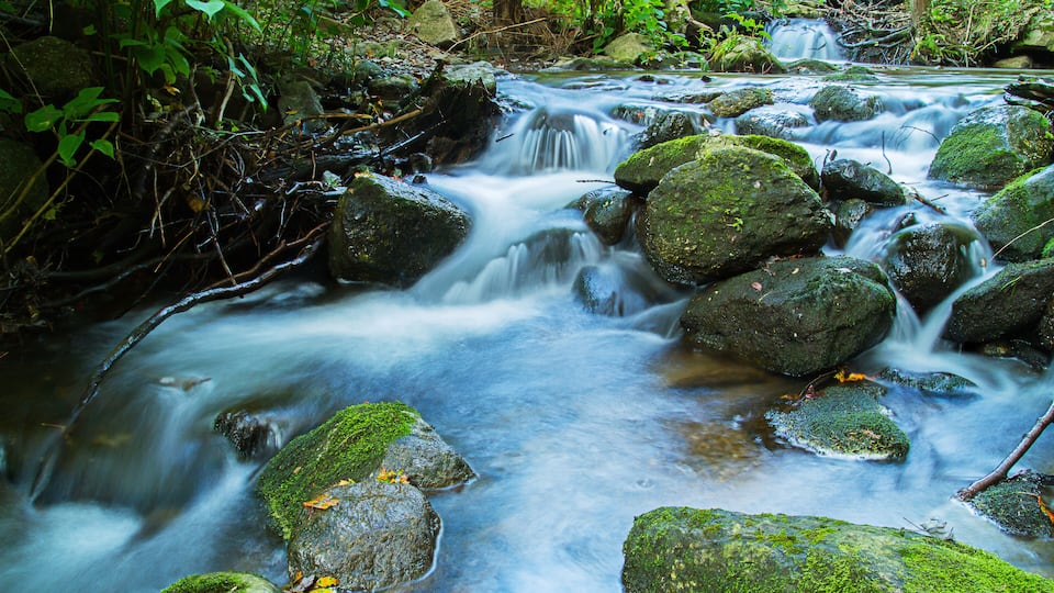 A stream flowing over rocks in a forested area.