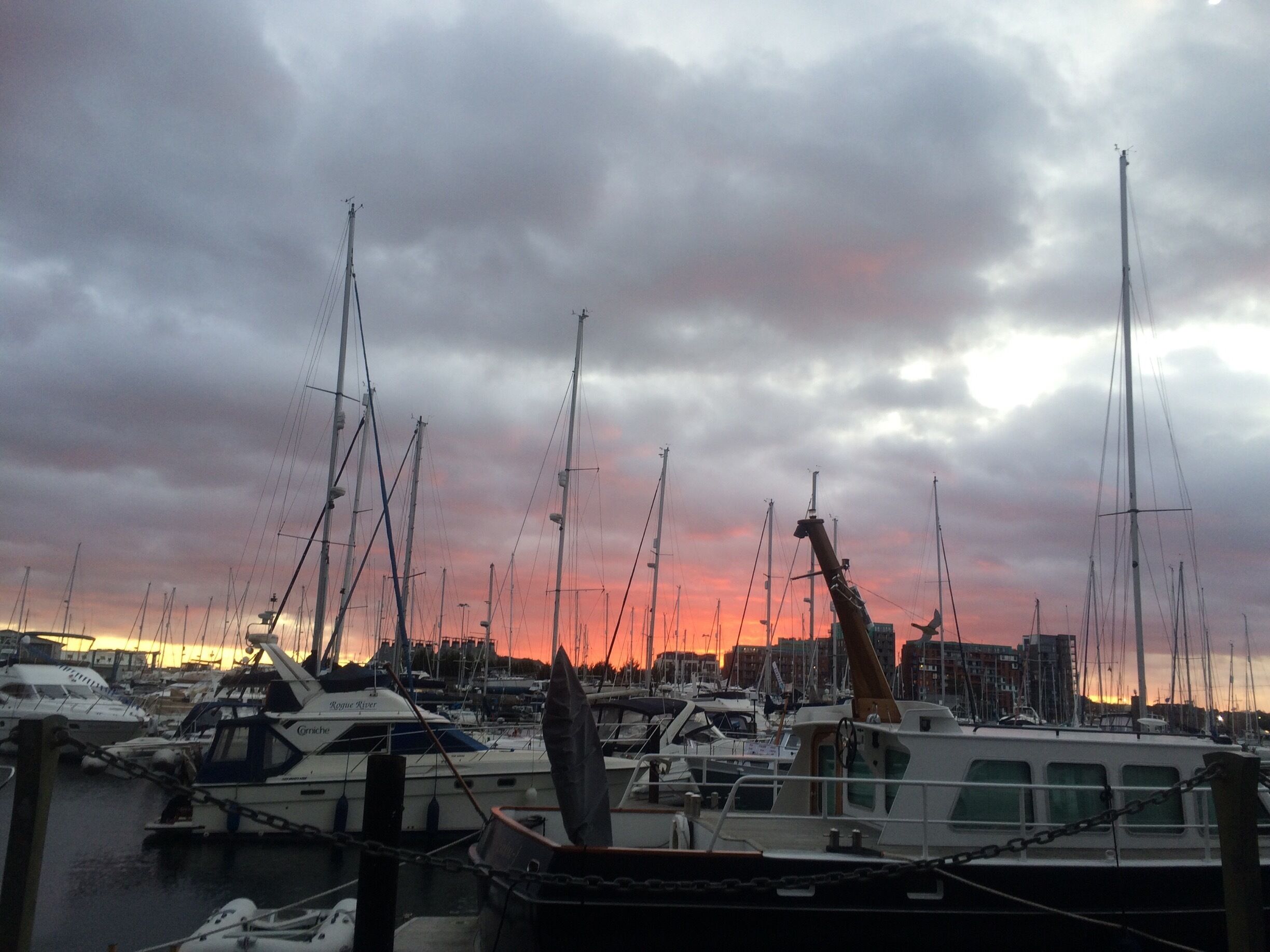 A marina with multiple sailboats docked under a cloudy sky.