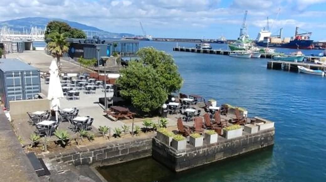 Marina de Ponta Delgada. Here you will find all kinds of restaurants, snack bars, gift shops, the smell of the ocean and much more.