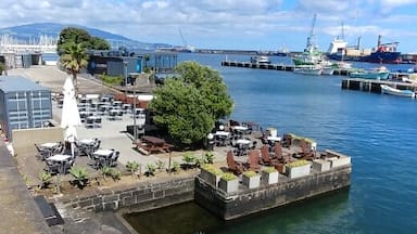 A waterfront area with a dock, boats, and a restaurant overlooking the water.