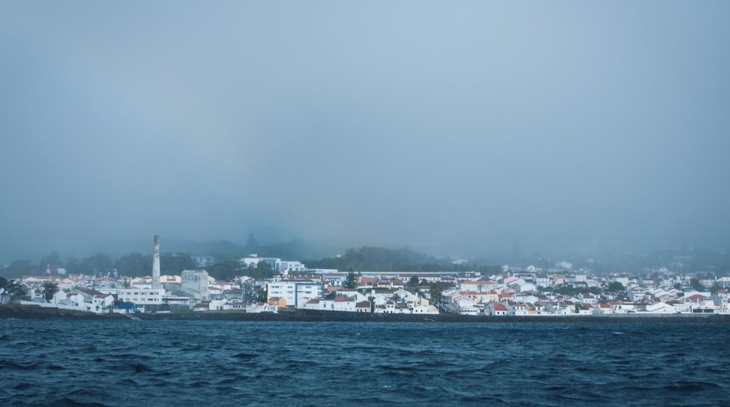 'Let me first say that Picos de Aventura is one of the most eco-friendly companies we’ve ever relied on while booking water-related activities. They are involved in conservation and are encouraging the community to contribute to the well-being of the ocean.'
#waterlust
P.S. My favourite moments on São Miguel--
https://bit.ly/2UHg8Zz