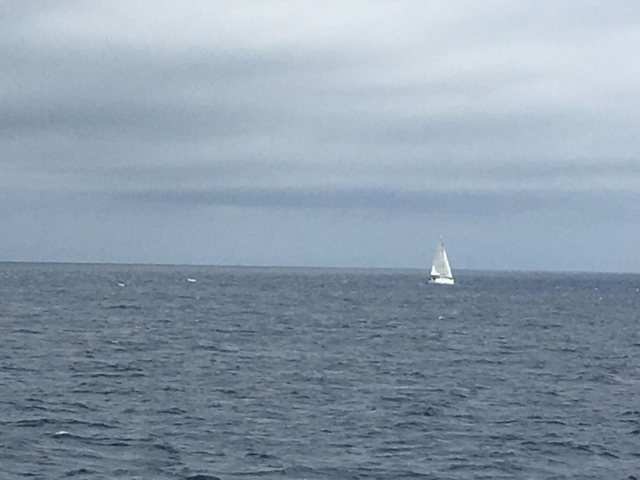 The lone sail boat in the waters between Pico and Horta, Azores Portugal