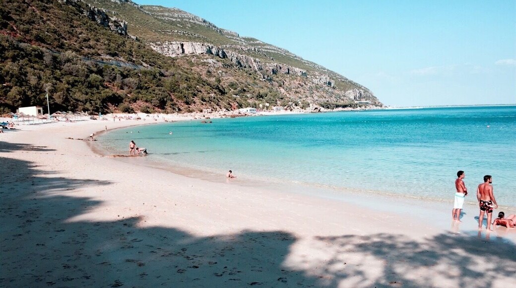 Praia de Galapos, Arrabida Natural Park, Setรบbal - Portugal.
One more amazing beach where you can relax and enjoy a great moments! You will find 2 restaurant/bars in there. I recommend the visit...
#praiadegalapos #setubal #serradaarrabida #waterlust #portugal #beach #summer #nationalpark