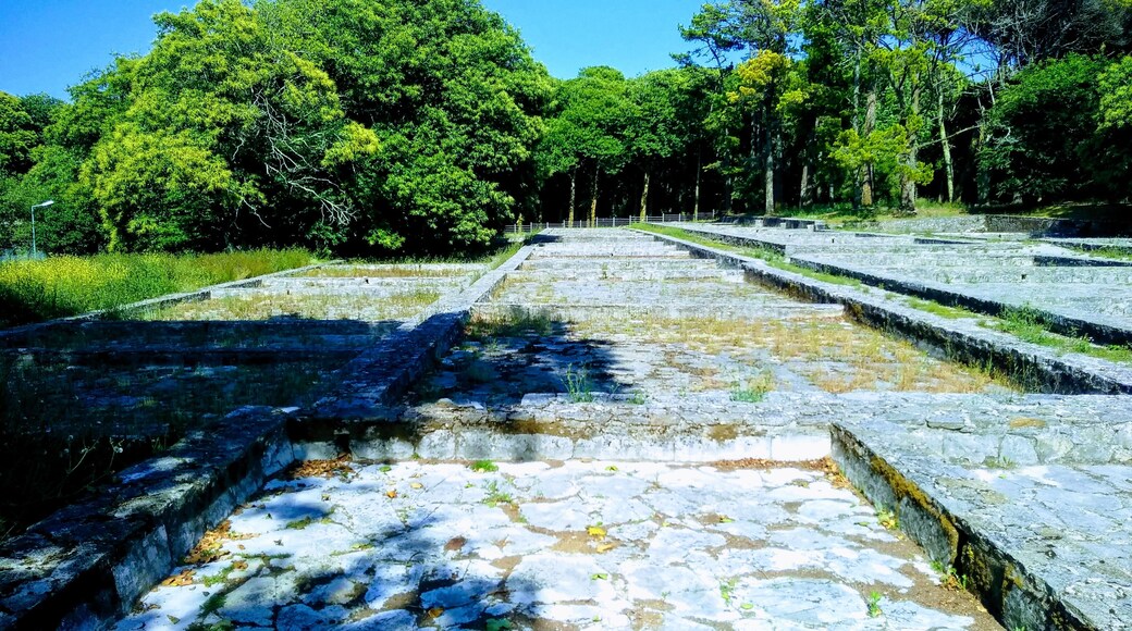 Real Fábrica de Gelo - Terraços de congelação