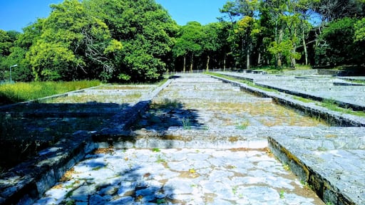 Real Fábrica de Gelo - Terraços de congelação